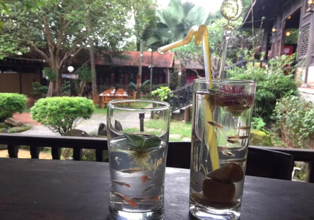 Sim Garden Resort - photo 5