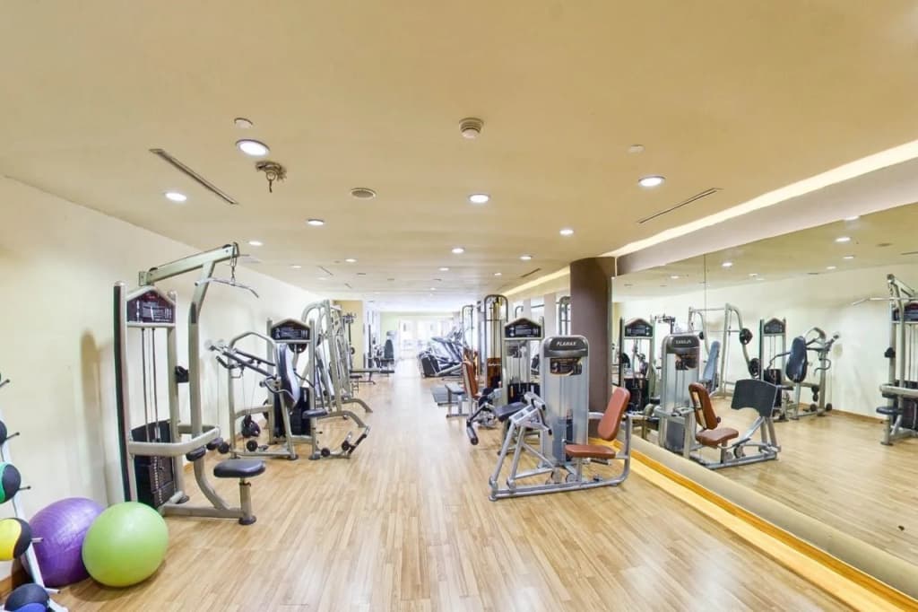 Millennium Hotel Sirih Jakarta - photo 26