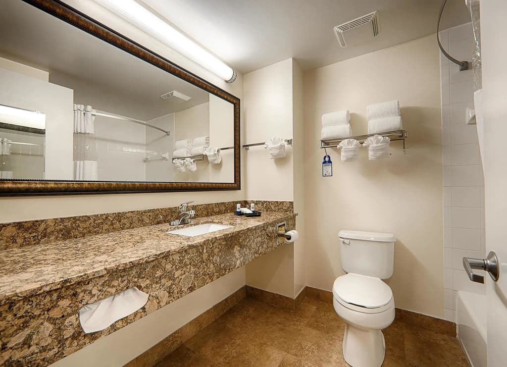 Best Western Plus Universal Inn - photo 9