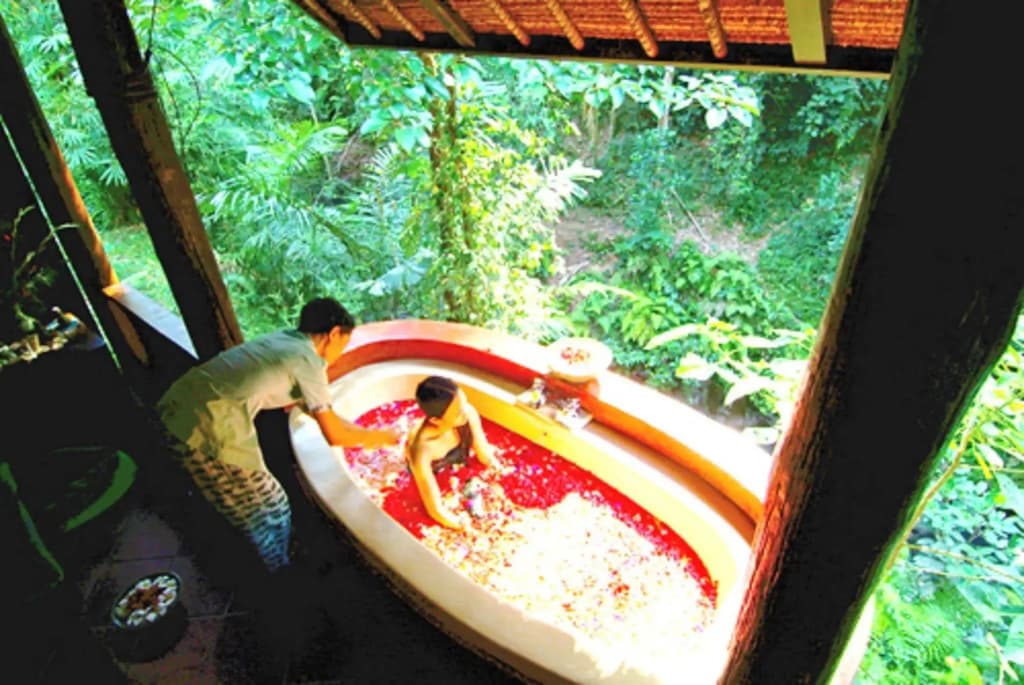 Natura Resort and Spa - photo 13