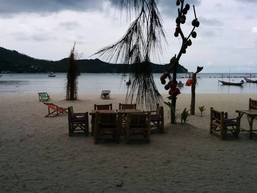 Dolphin Bungalows - photo 6
