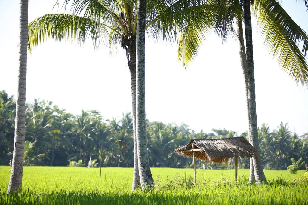 The LUXE Ubud, a Boutique Hotel - photo 22