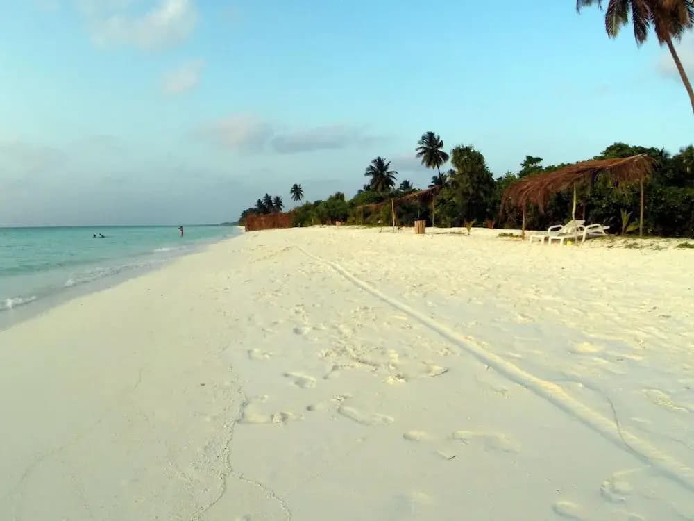 Amra Palace Laamu - photo 15