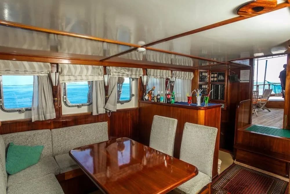 Dream Voyager - photo 18