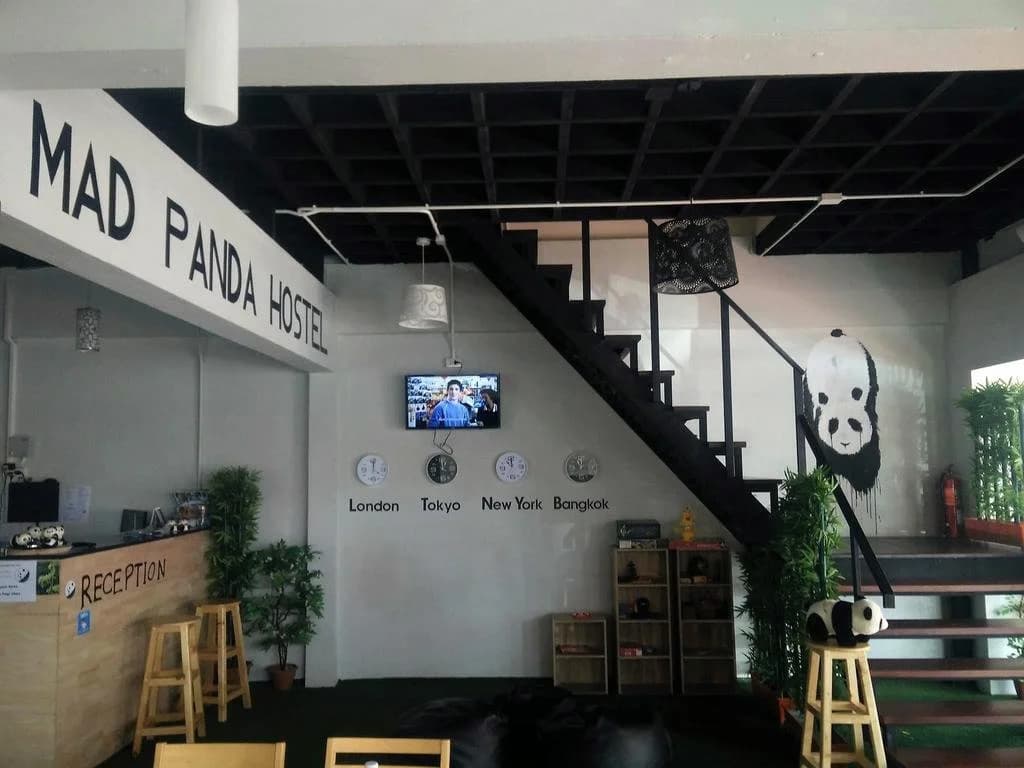 Mad Panda Hostel - photo 19