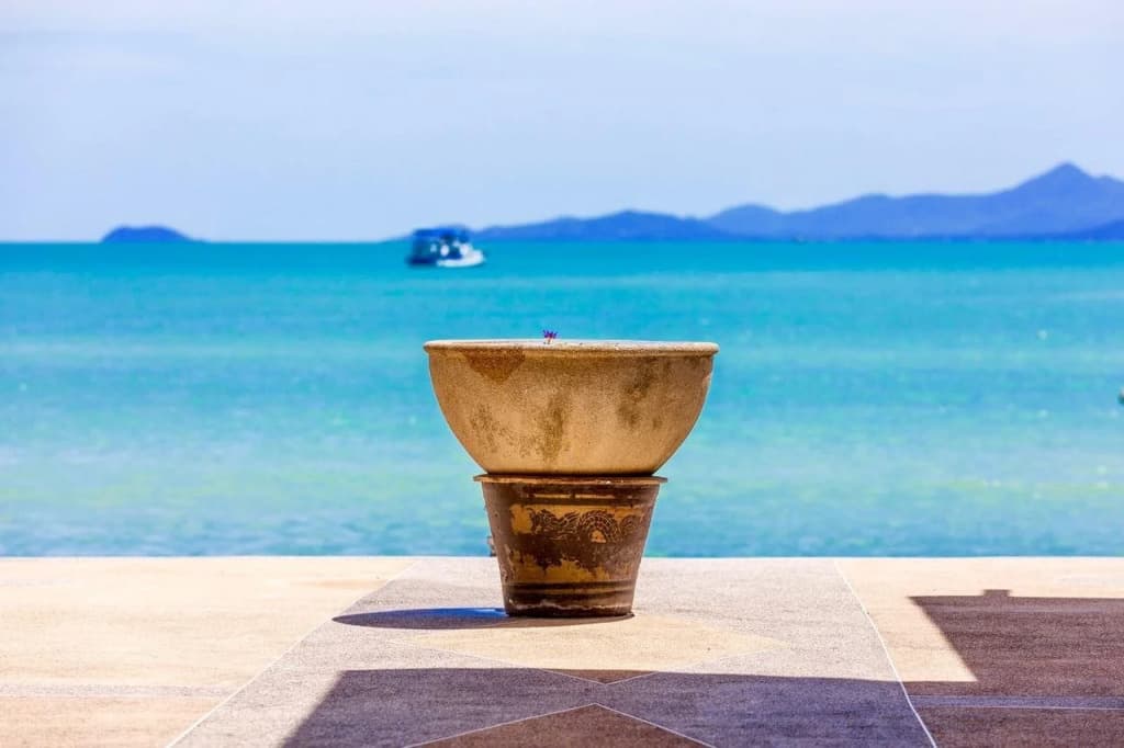 Kinnaree Resort - photo 11