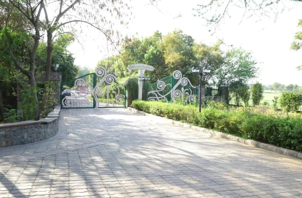 Haritma Resort - photo 4