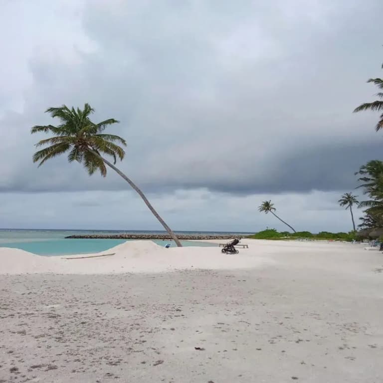 Sea Breeze View - photo 32