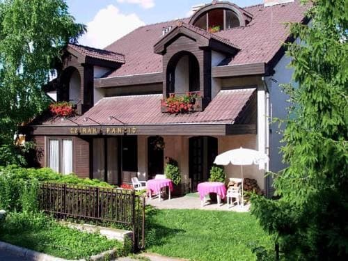 Czirky Panzi Hotel - photo 2