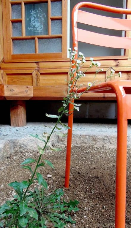 Kibi House(기비하우스) - photo 10
