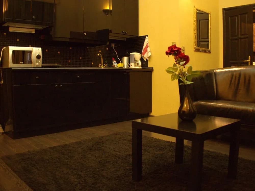 Budapest Easy Flat - Teresa Lux Apartment - photo 2