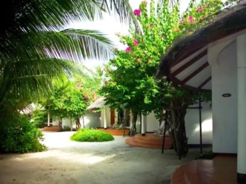 Velidhu Island Resort - photo 19