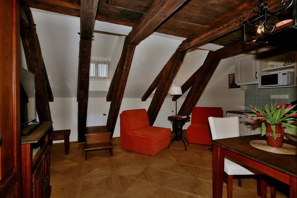 Residence U Mecenáše - photo 25
