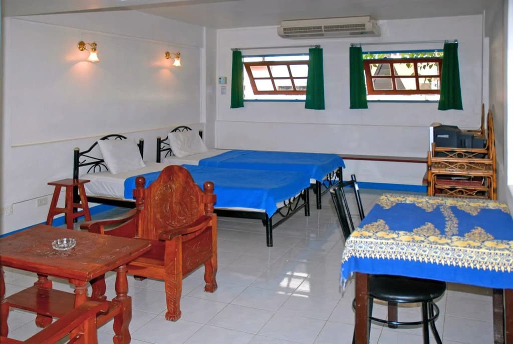 Niku Guesthouse - photo 14