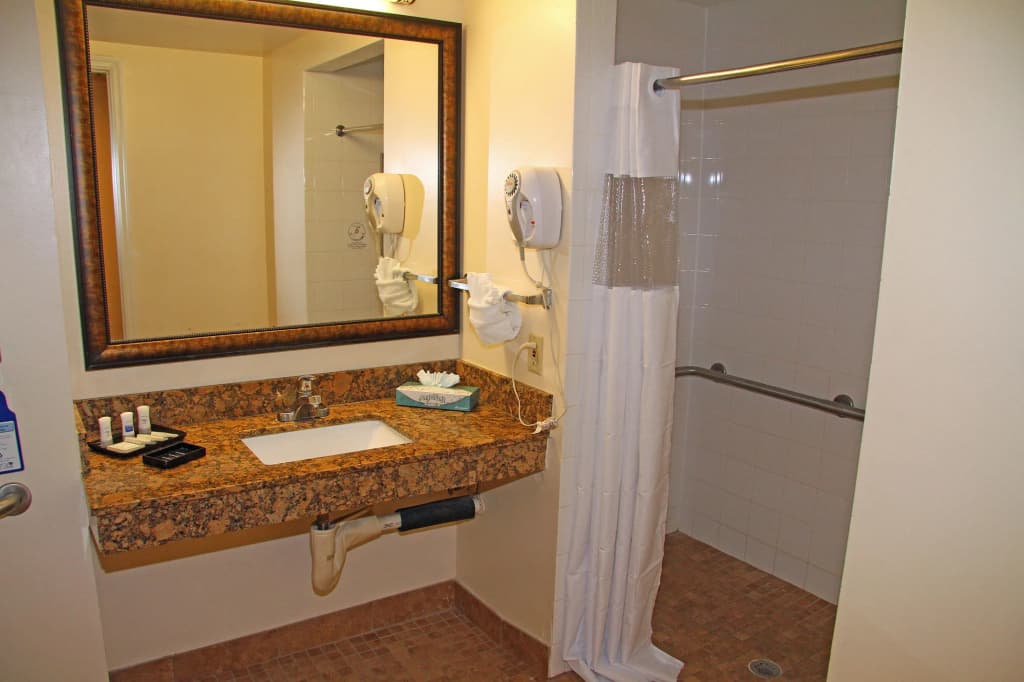 Best Western Plus Universal Inn - photo 10