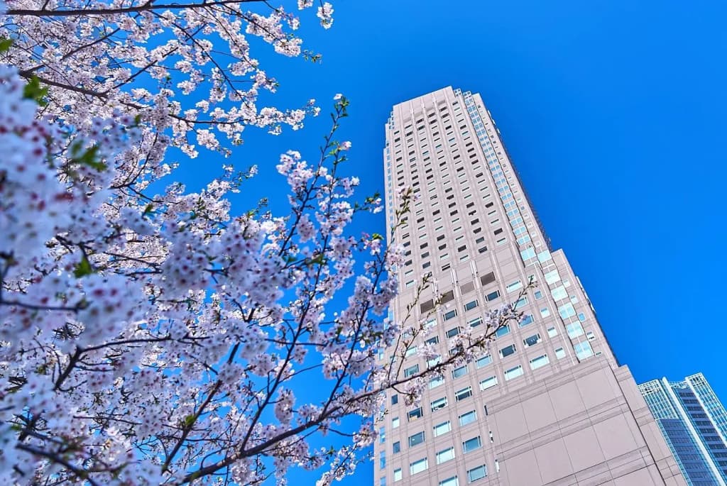 Cerulean Tower Tokyu Hotel - photo 1