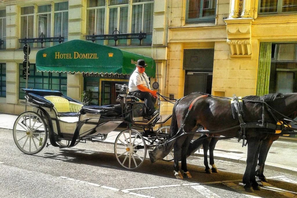 Hotel Domizil - photo 12