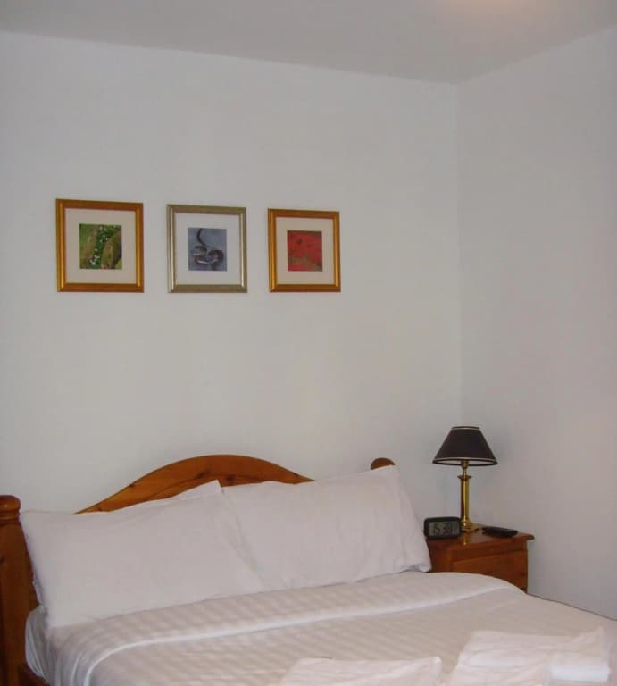 Twin Lions Hotel - photo 35