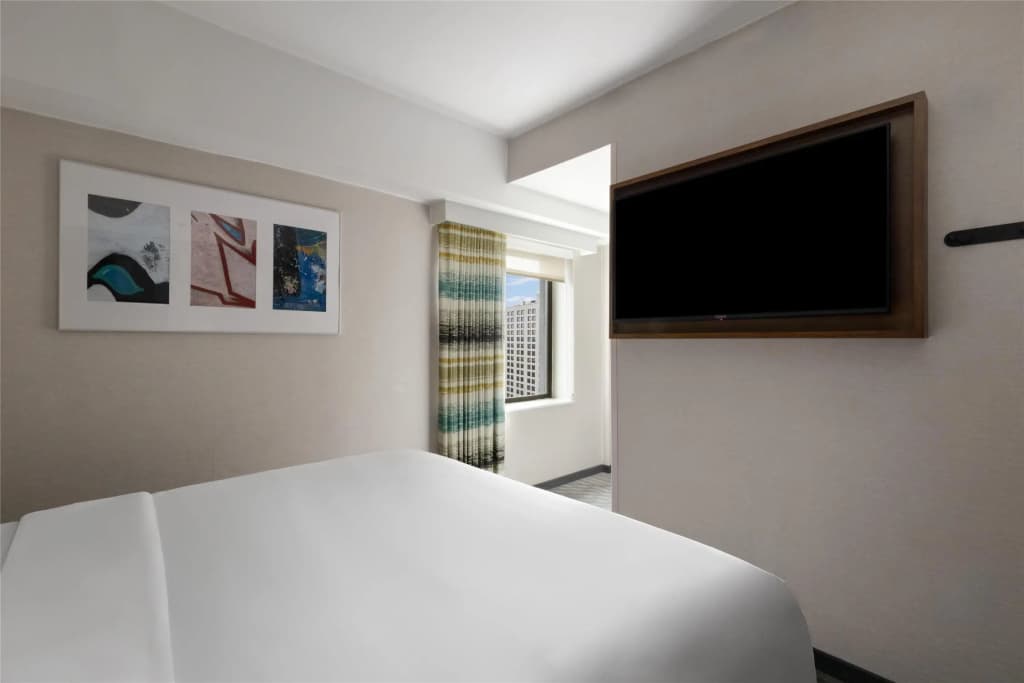 Hampton Inn Long Island City  NY - photo 4