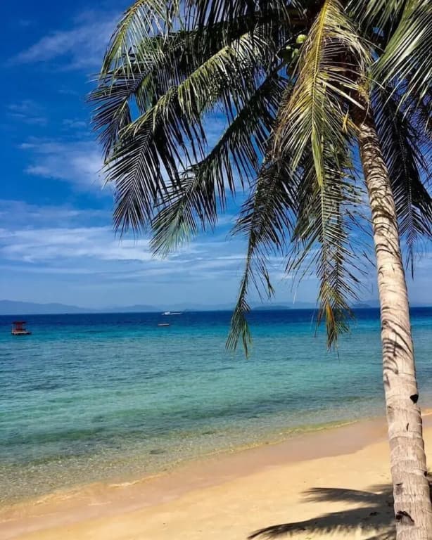 Villamas Perhentian Resort - photo 8