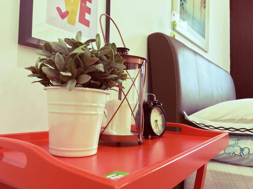Vibrant Studio - photo 5