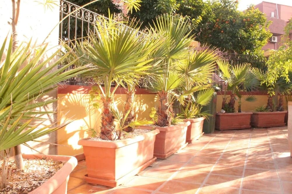 Appartement Mirador De Majorelle - photo 9