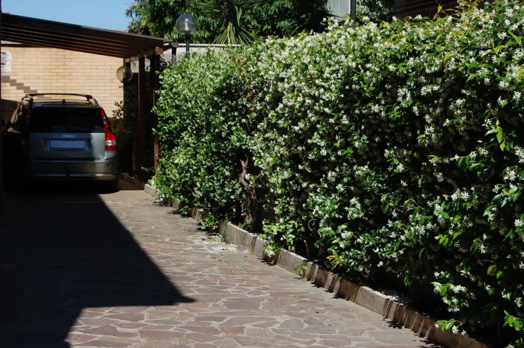 B&B e Appartamenti al Good-Day - photo 12