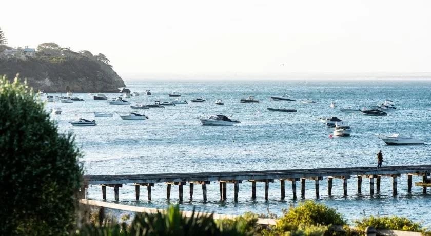 Portsea Hotel - photo 20