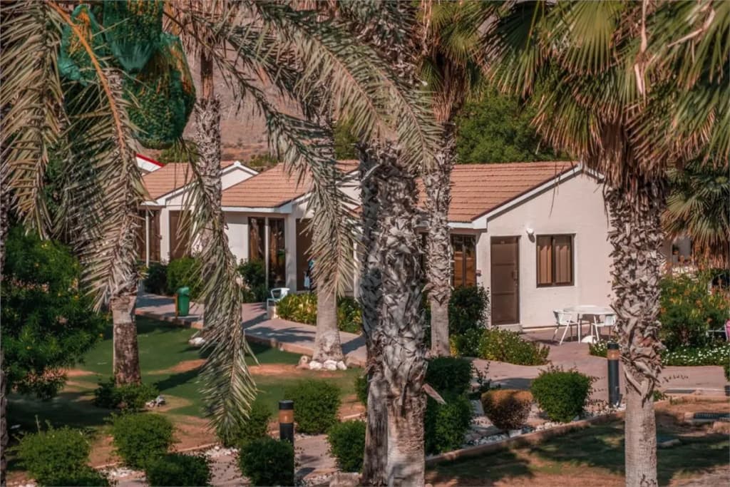 Sandy Beach Hotel and Resort - photo 16