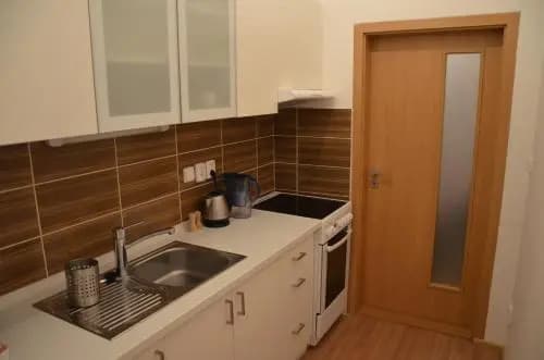 Comfortable Apartment Vlkova - photo 19