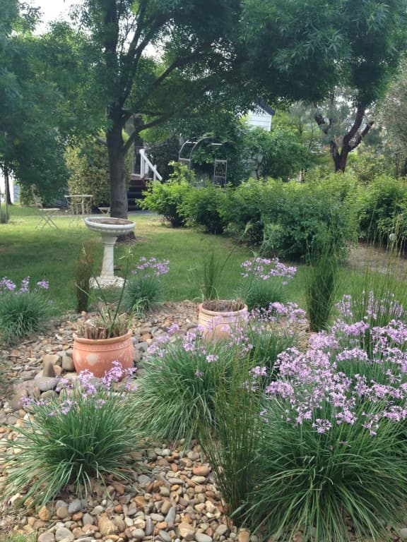 Yarraglen BnB - photo 3