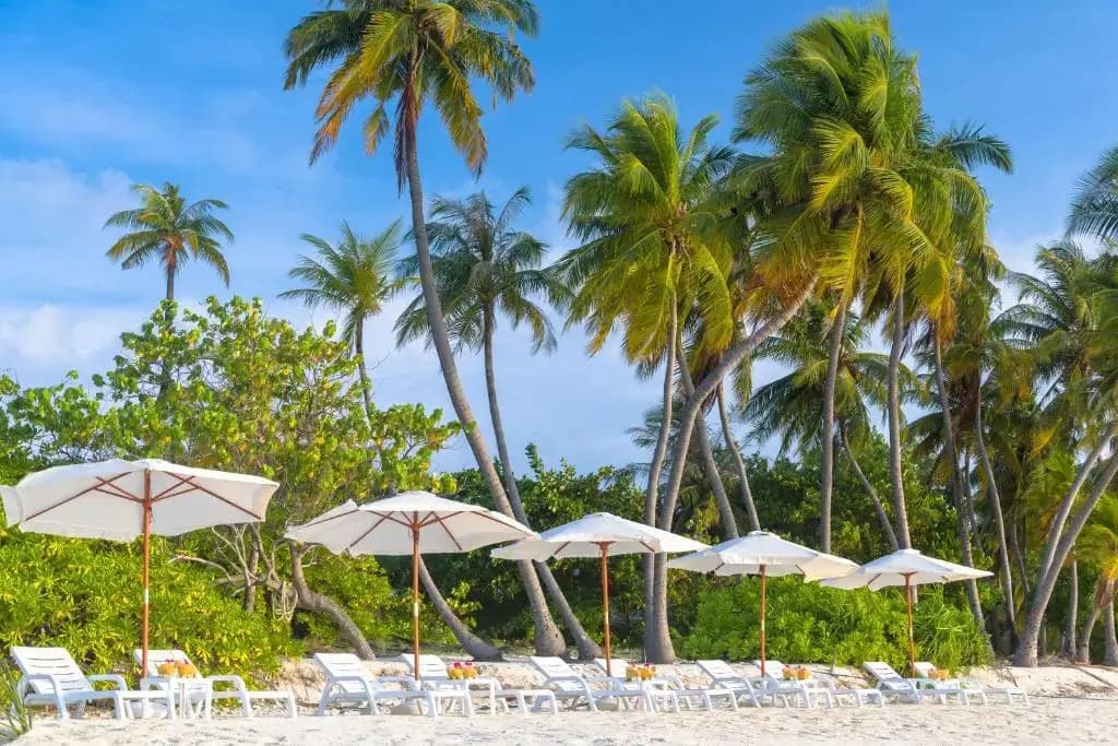 Sabba Beach Suite , Fodhdhoo - Maldives - photo 14