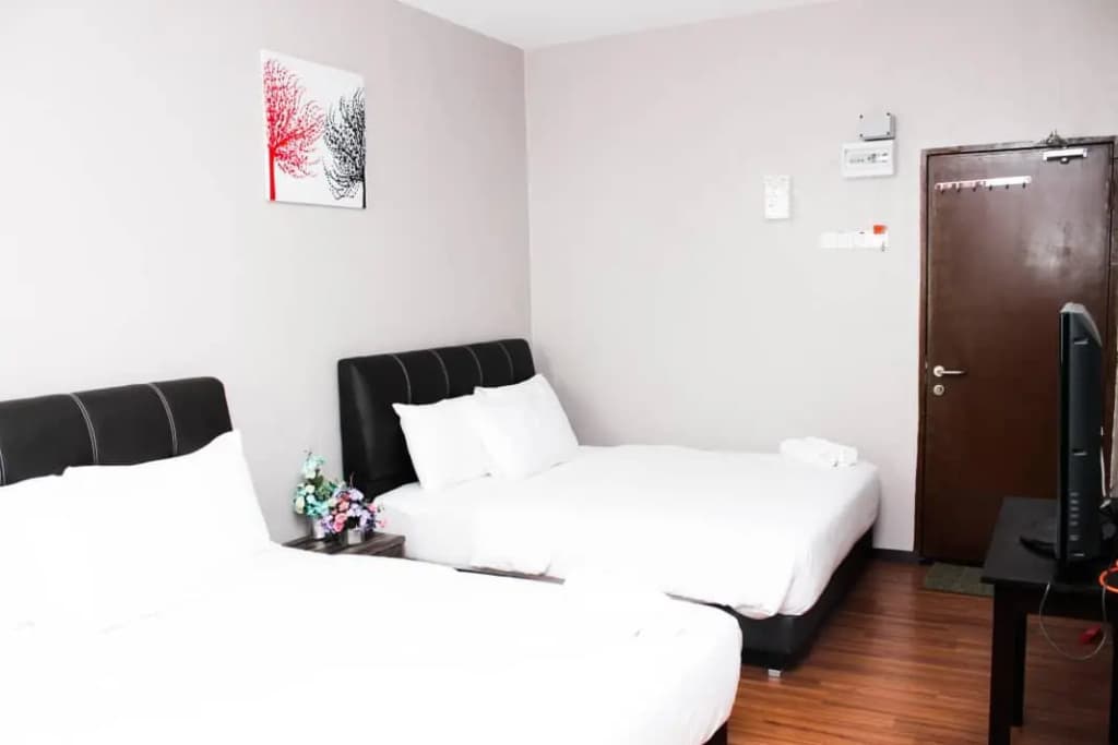 Hotel Kamelia - photo 4