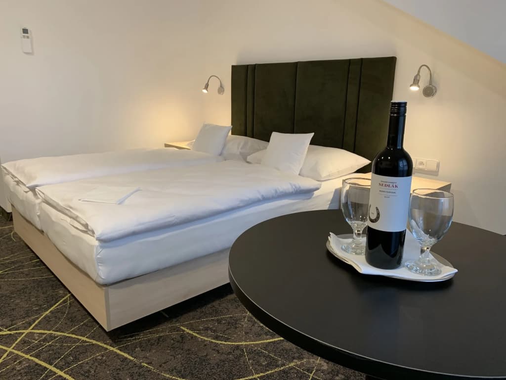 Hotel Valcha - photo 3