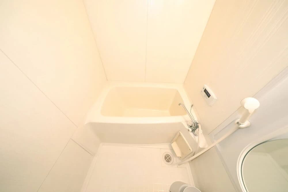 Vivid Zebra House (197-1) - photo 7