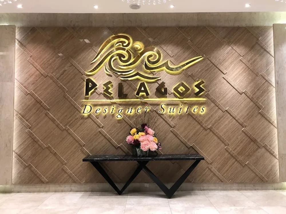 Pelagos Oceanus - photo 2