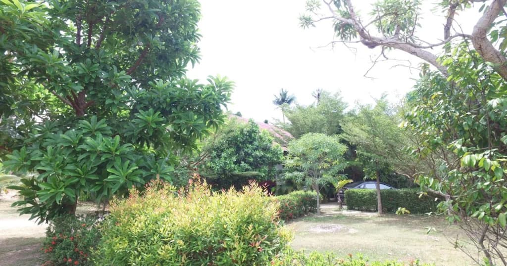 Aliyah Garden House - photo 31