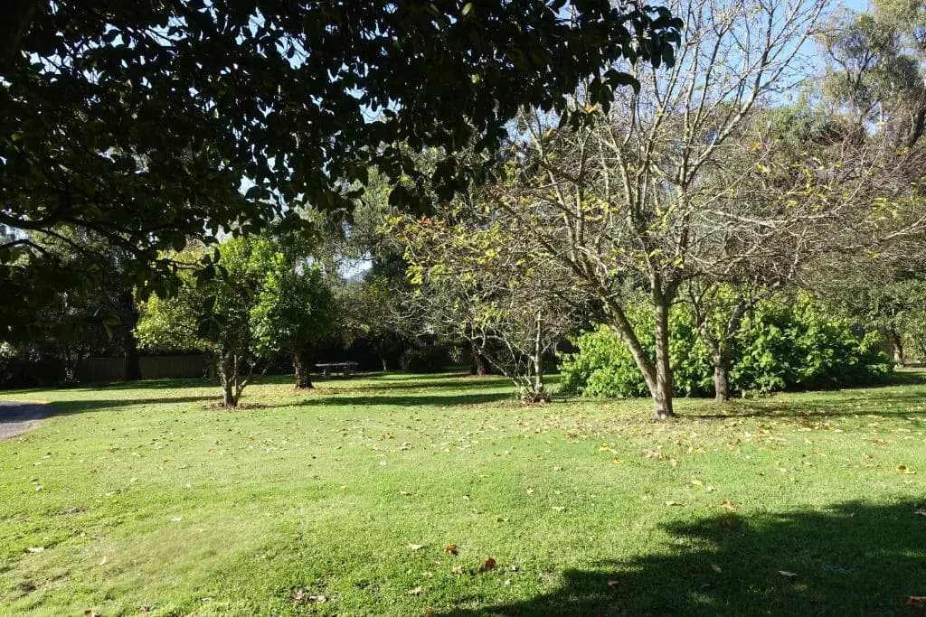 Healesville Schofield Cottage - photo 4