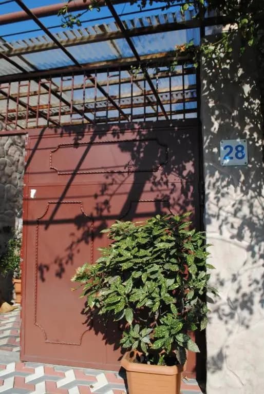 Sameba - photo 3