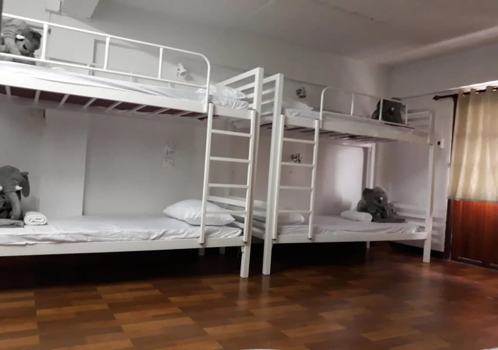 Unico Hostel - photo 5