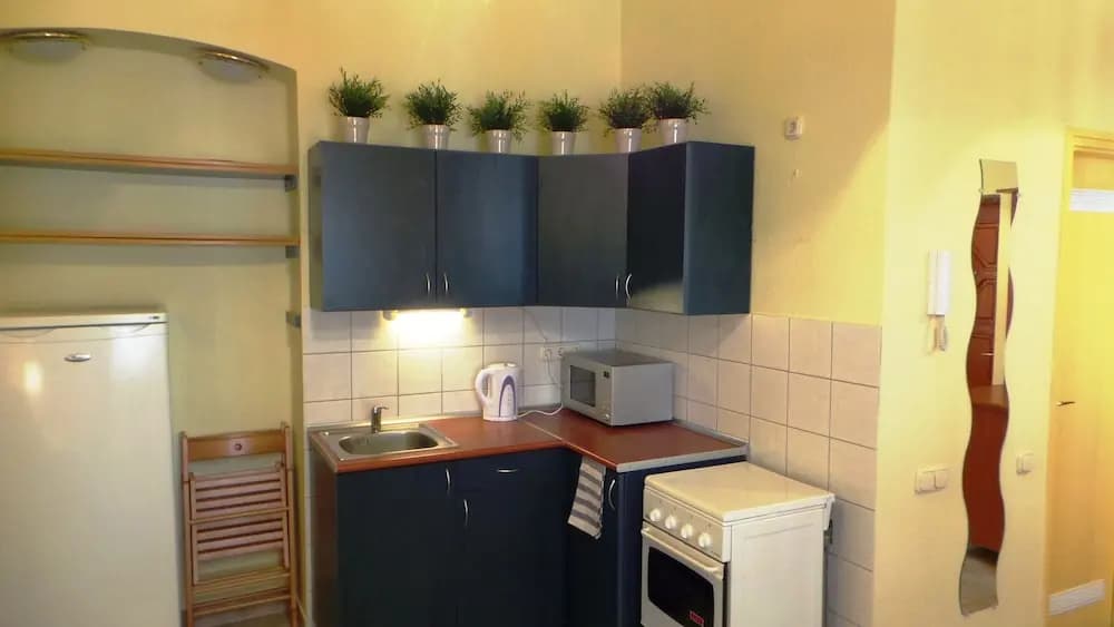 Apartment Nagymezo - photo 13