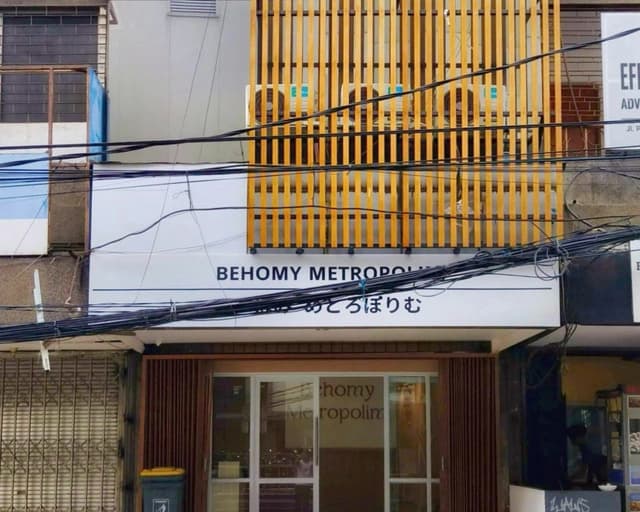 Behomy Metropolim - photo 2
