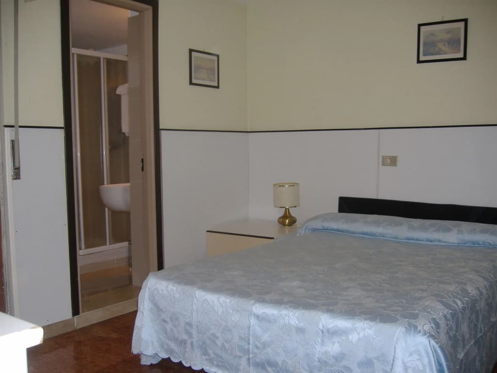 Hotel Mayorca - photo 5