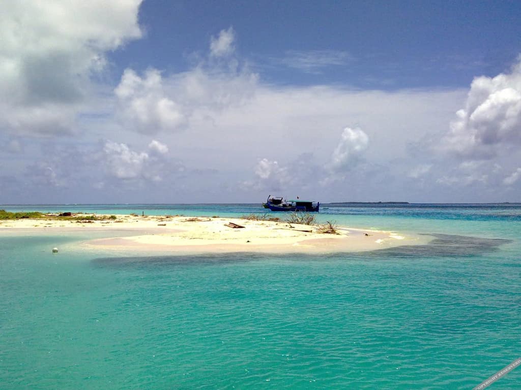 Himandhoo Inn - photo 11