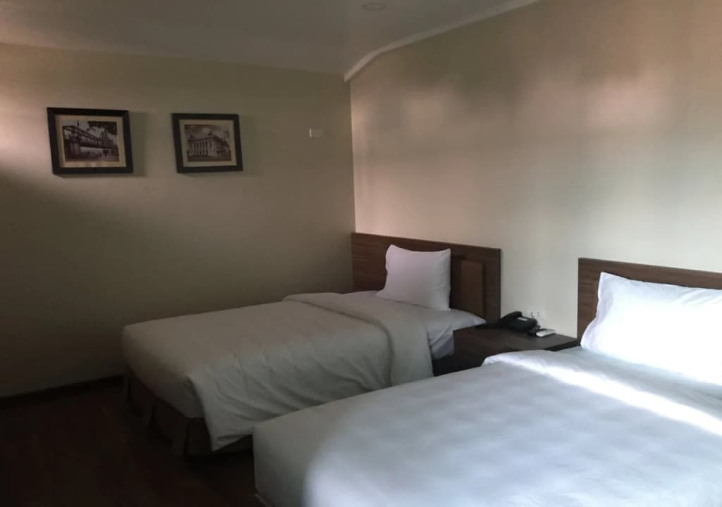 Tulip Hotel - photo 3