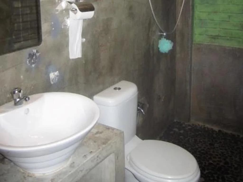Tropical Guesthouse - photo 8