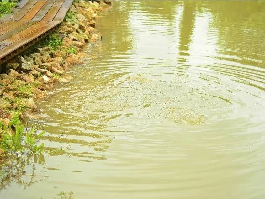 The Vareeya Resort - photo 19