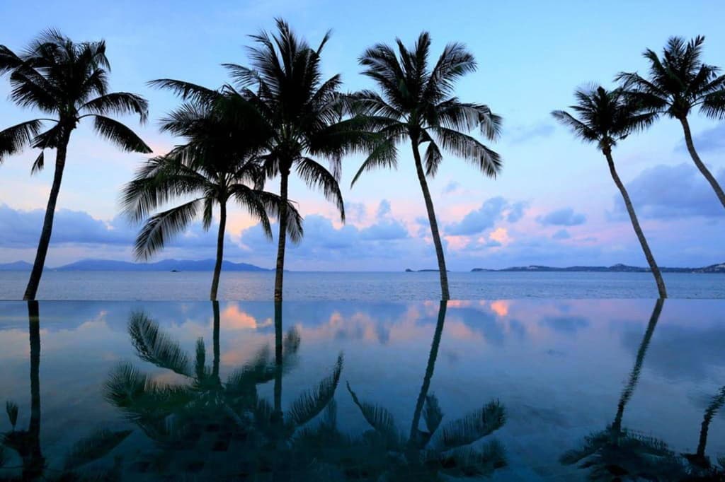 Celes Samui - photo 28