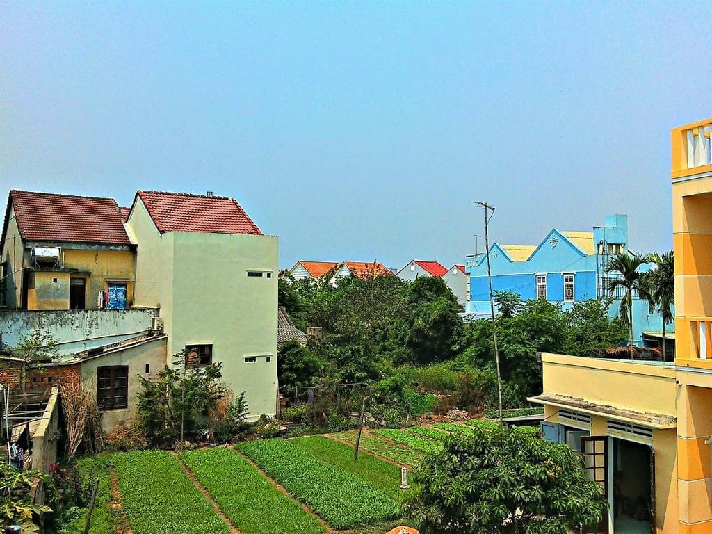 MS Tri House Homestay - photo 15