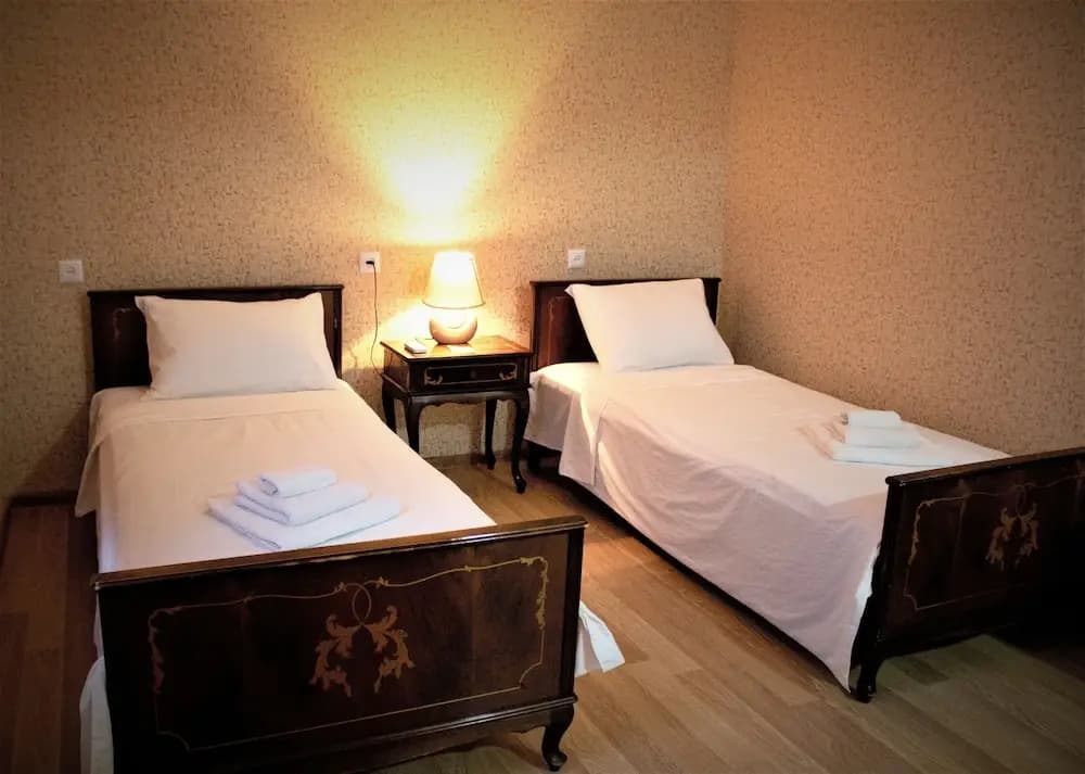Twins Guesthouse - photo 3